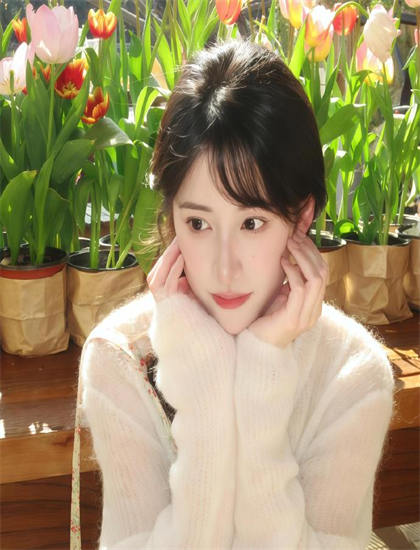 经典重温：来自收容所的爱的视觉特效与美术设计——分析审美价值的艺术标准